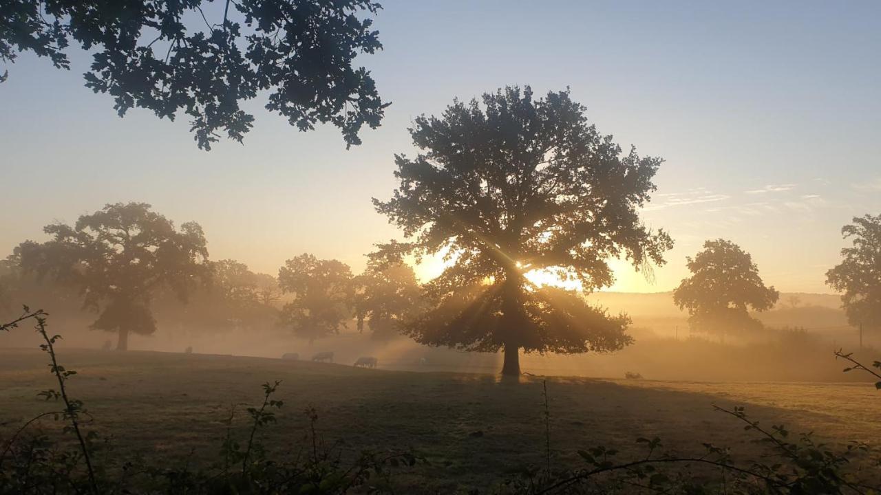 Glamping Les Arbres, Luxe Safaritent Met Zwembad Cronat المظهر الخارجي الصورة